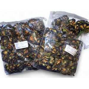 Deep Blue with Gold Center Paper Flowers Green Stems Craft Lot 144 Pieces New